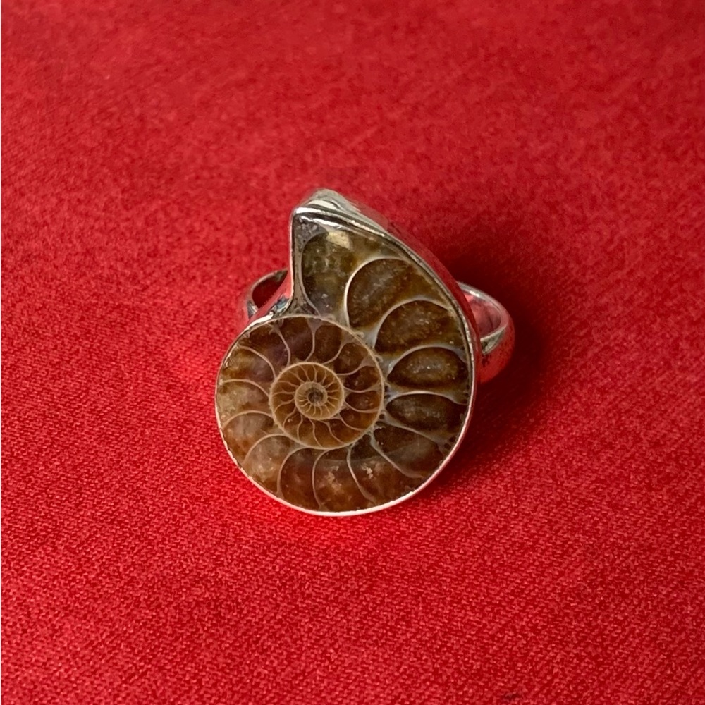 Ammonite fossil Sterling silver Ring -NWT